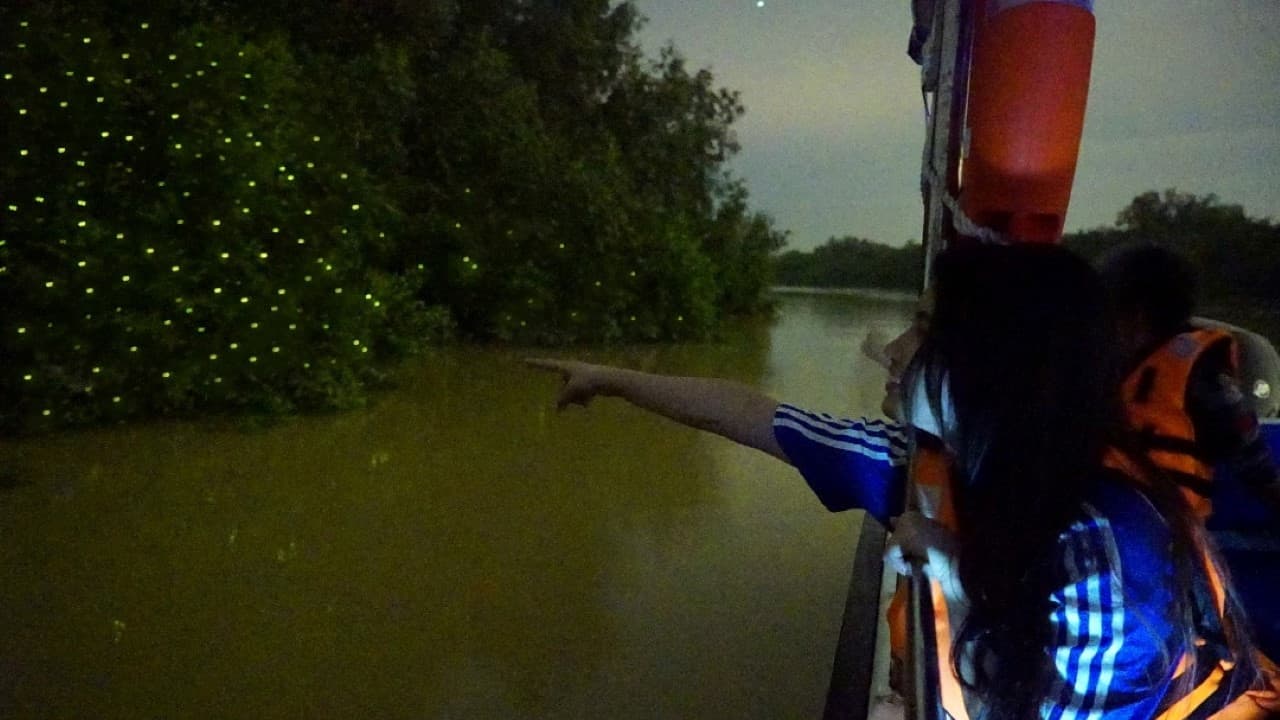 Fireflies Boat Cruise in Kuala Selangor - image 2