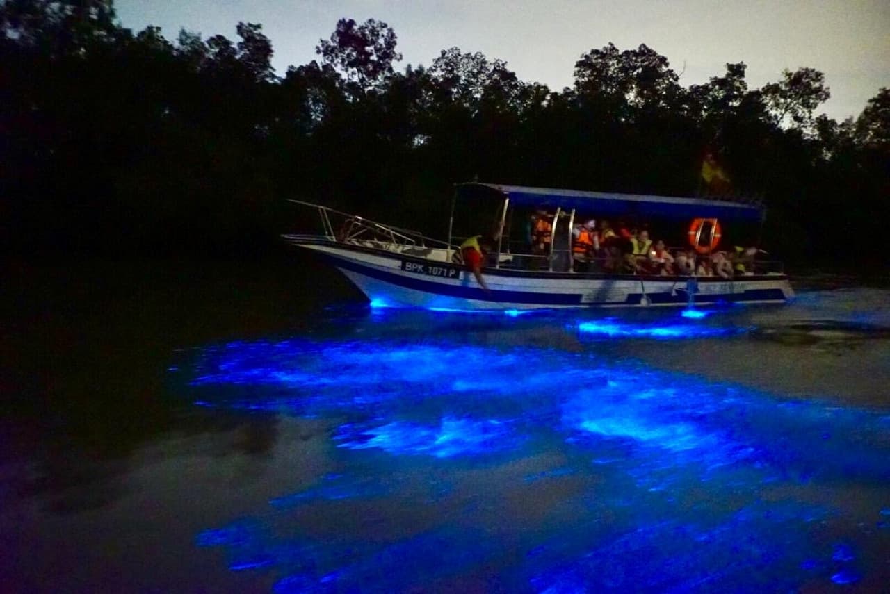 Blue Tears Boat Cruise in Kuala Selangor - main image