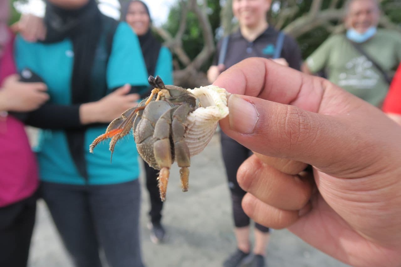 Desaru Beach and Tide Pool Walk - image 5