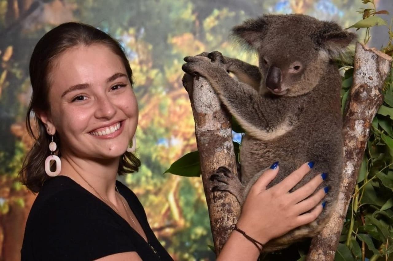 Cairns Koalas and Creatures at the Pier Ticket - main image