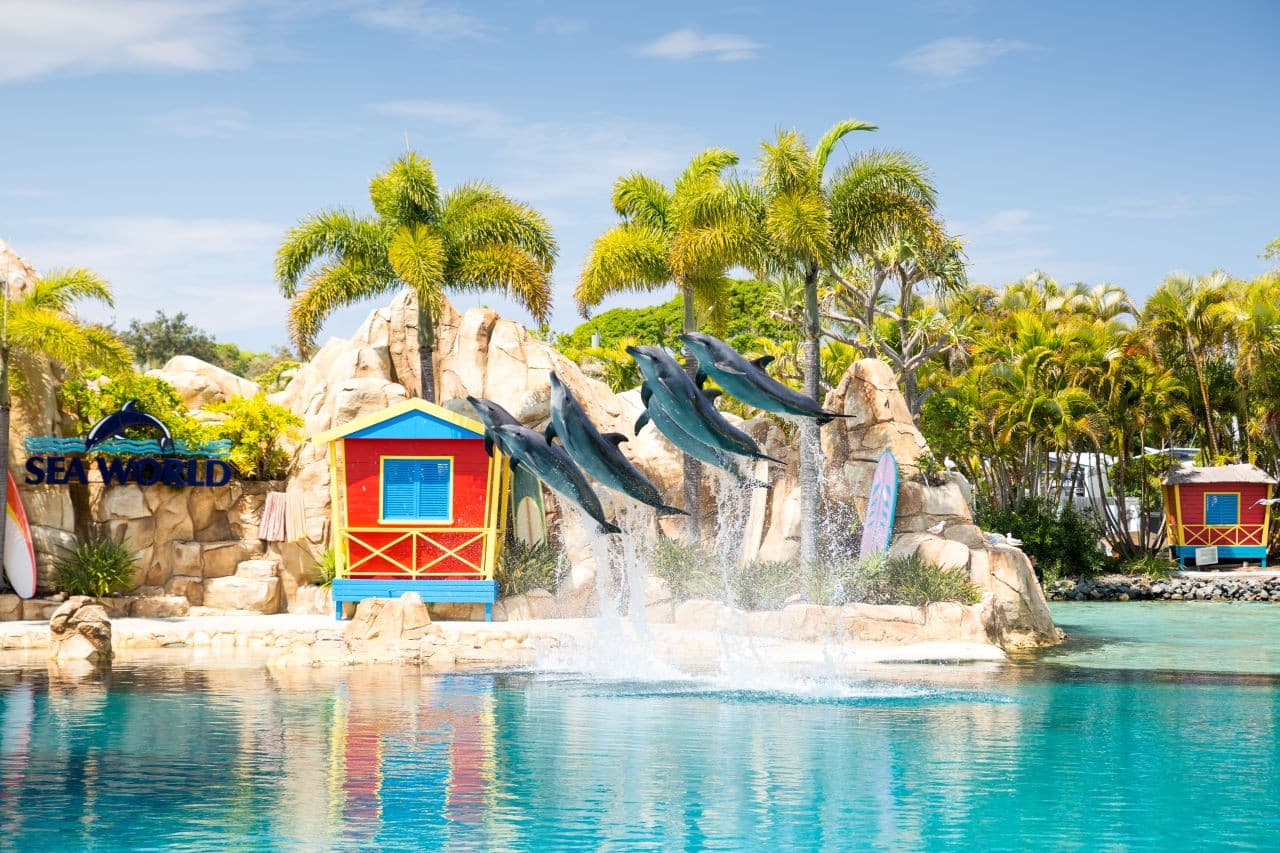 Hopo Gold Coast Hop-on Hop-off Cruise - imagen 6