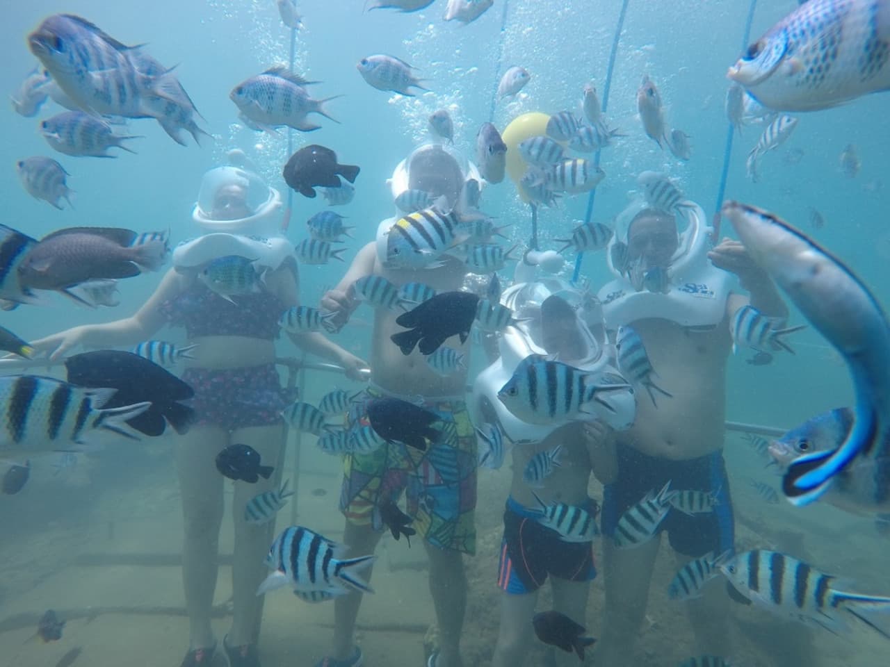Cham Islands Underwater Walking and Snorkelling Half-Day Tour from Da Nang - image 3