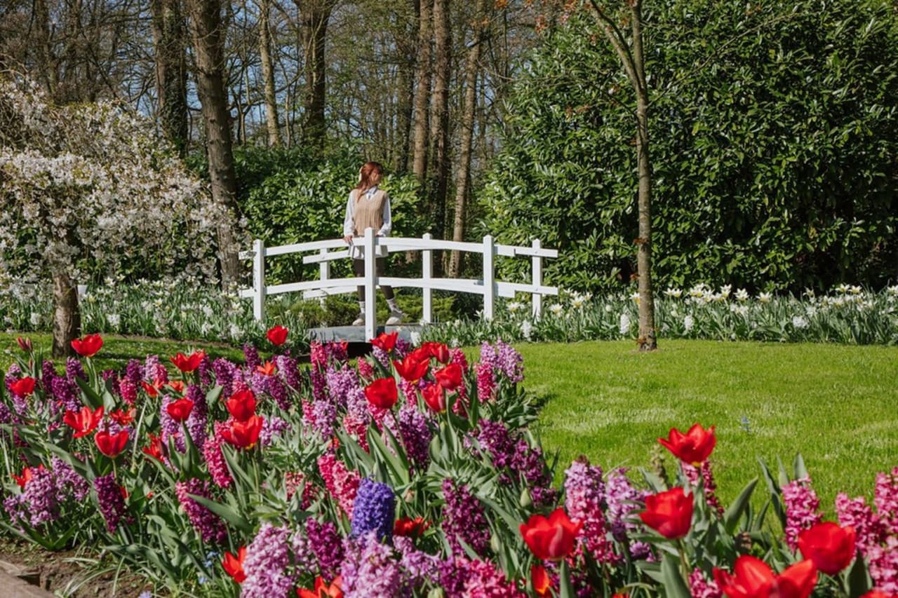 Keukenhof Gardens Ticket with Round Trip Bus Transfer from Amsterdam - image 2