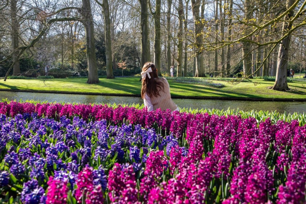 Keukenhof Gardens Ticket with Round Trip Bus Transfer from Amsterdam - imagen 3