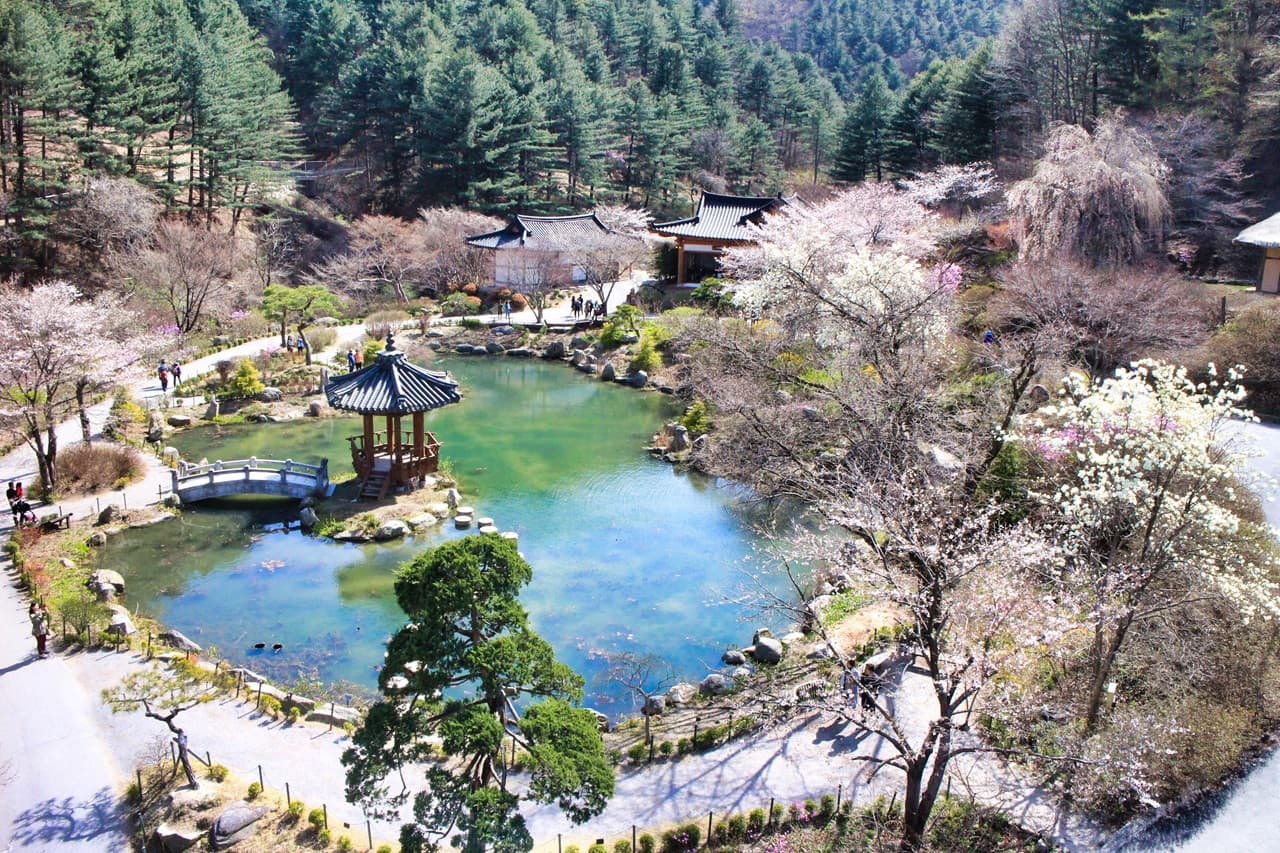 Nami Island, Mount Seorak, and Garden of Morning Calm Full-Day Tour from Seoul - image 34