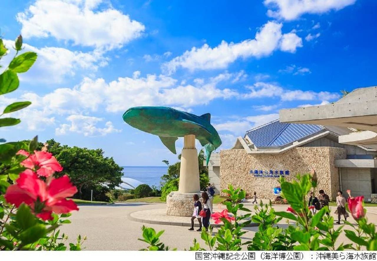 Okinawa Churaumi TokuToku 5 Pass - main image