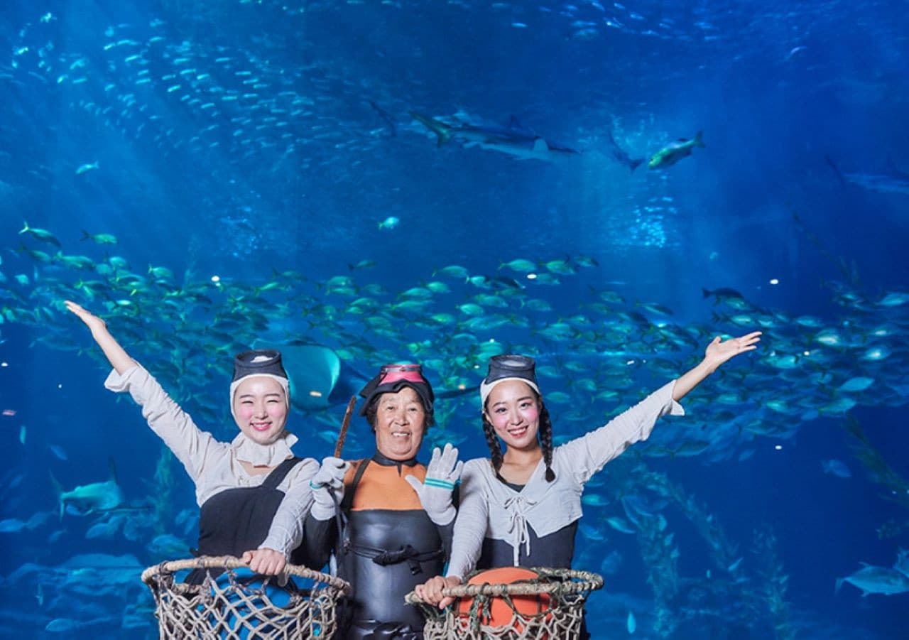 Entrada para el acuario Aqua Planet Jeju - imagen 8