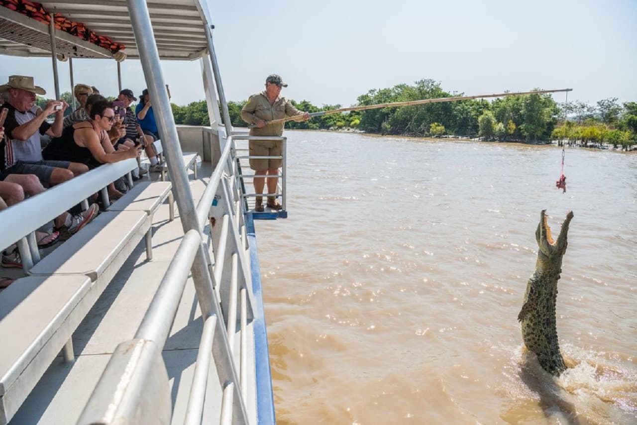 Spectacular Jumping Crocodile Cruise - main image
