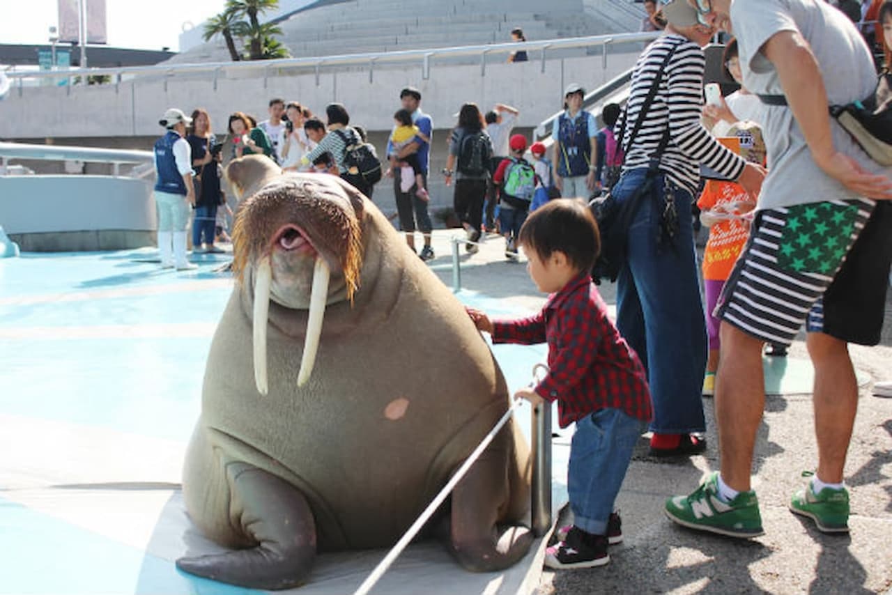 Oita Marine Palace Aquarium Umitamago Ticket - image 5