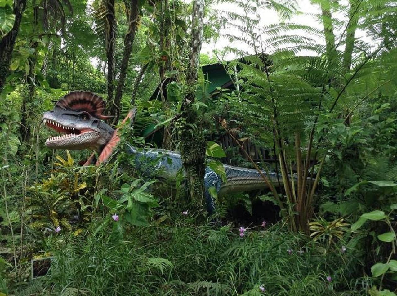 Okinawa Dino Park Yanbaru Subtropical Forest Ticket - image 5