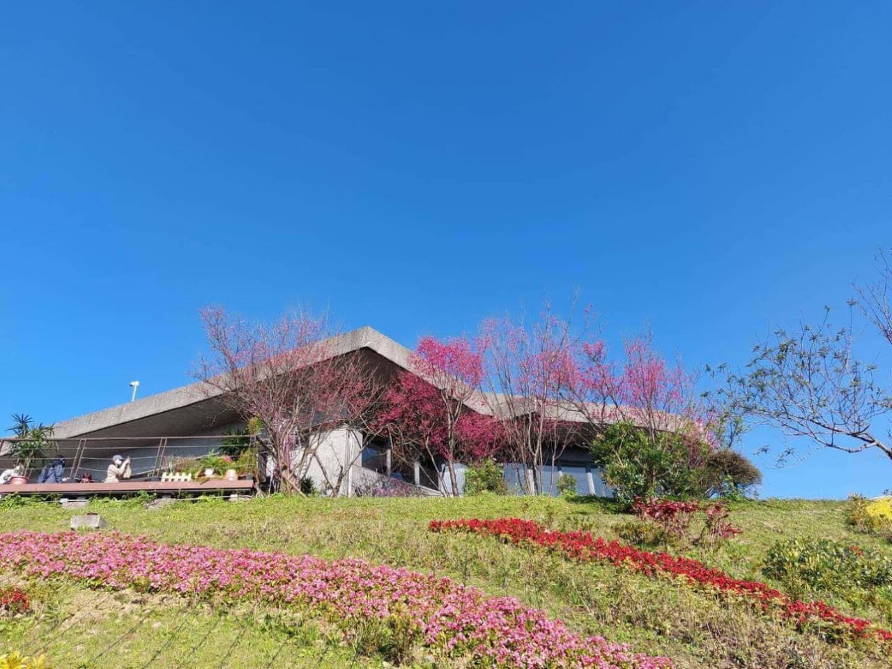 Pinglin Tea Culture and Maokong Full-Day Tour from Taipei - image 6