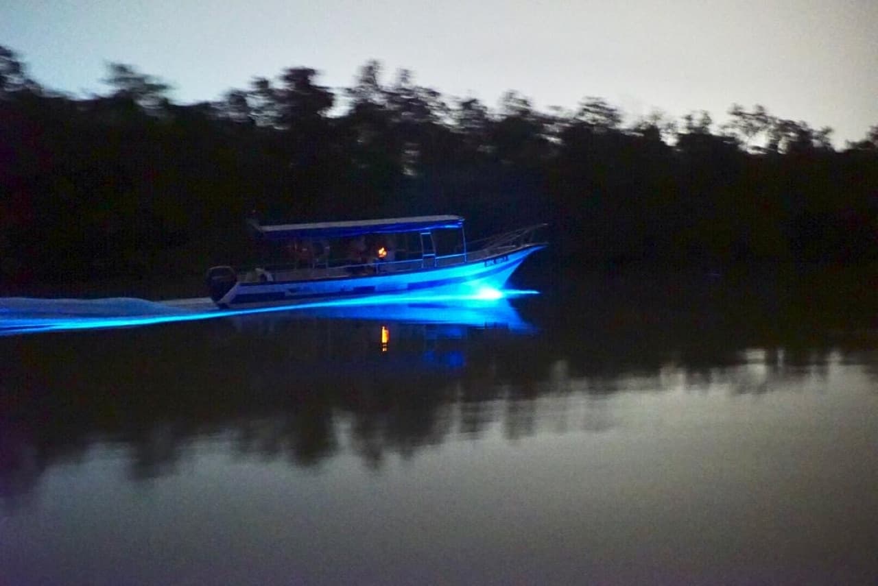 Blue Tears Boat Cruise in Kuala Selangor - image 4