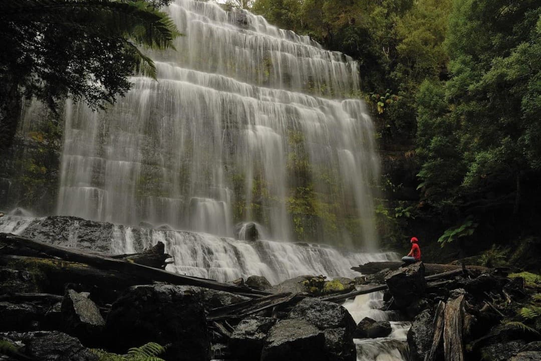 Russell Falls Tour from Hobart - imagen 8