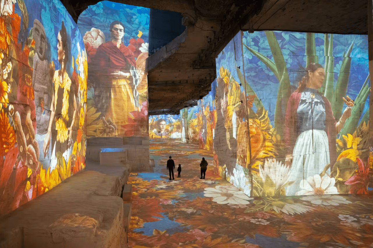Carrieres des Lumieres: Entry Ticket - image 5