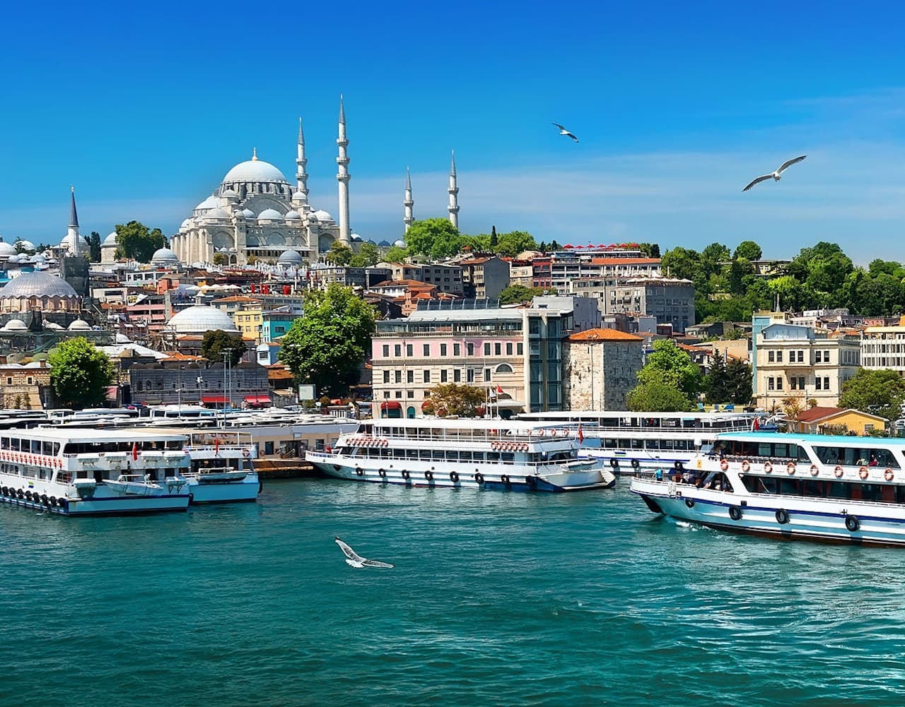 Bosphorus Sightseeing Cruise on a Luxury Yacht - image 6