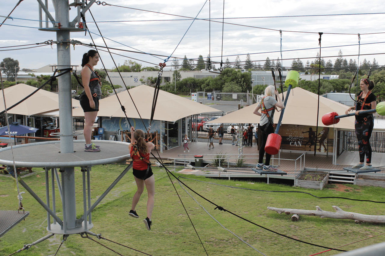 MegaClimb at West Beach Adventure Adelaide - image 6