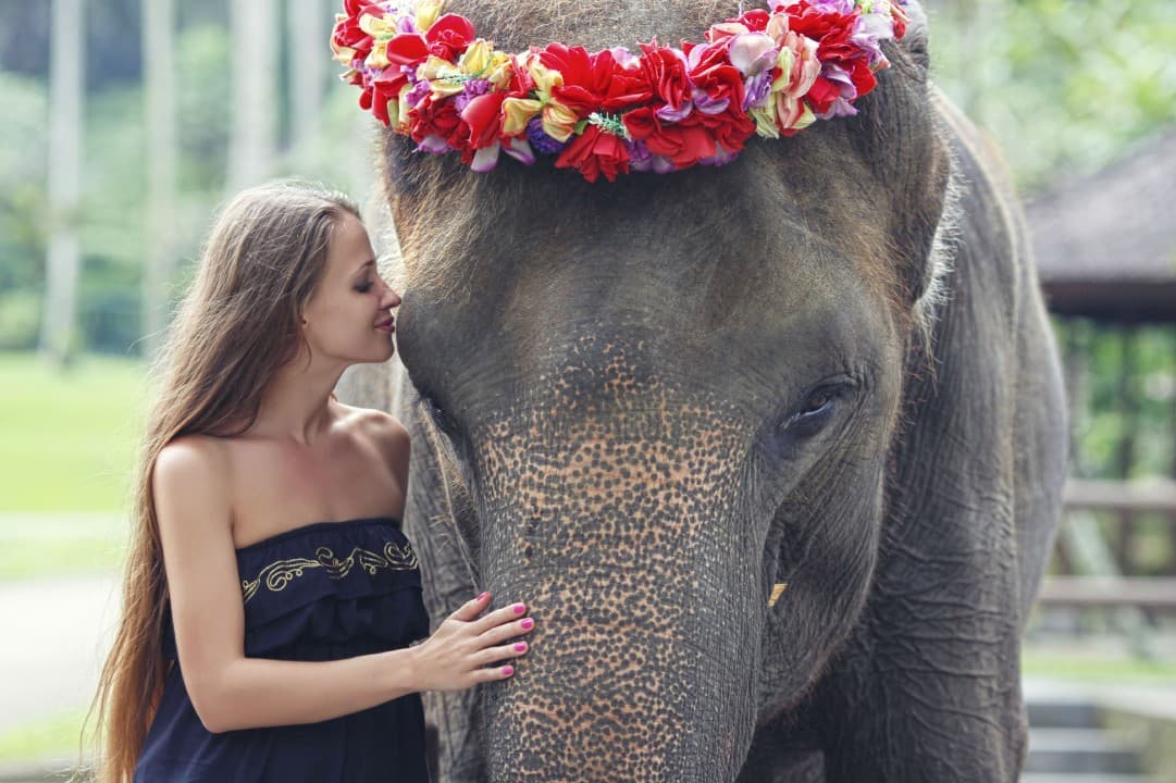 Mason Elephant Park Bali by Mason Adventures (Formerly known as Elephant Safari Park) - image 2