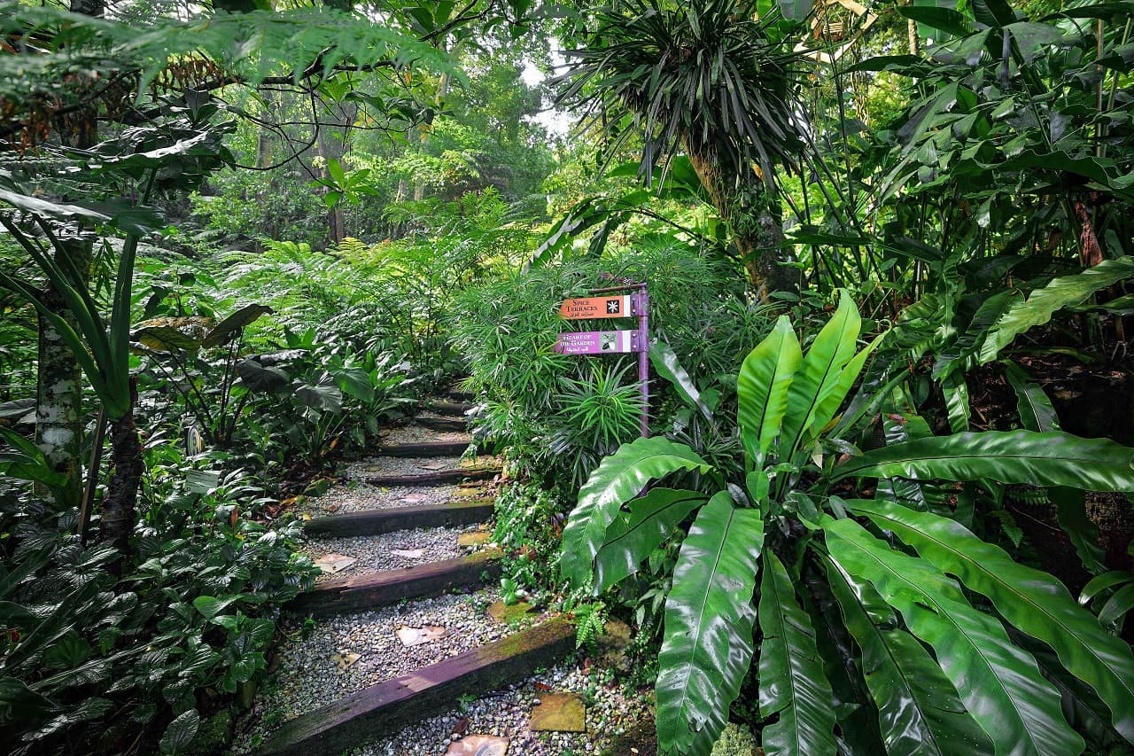 Tropical Spice Garden Penang - image 3