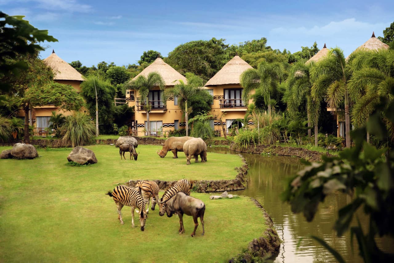 Bali Safari Park Ticket - image 2