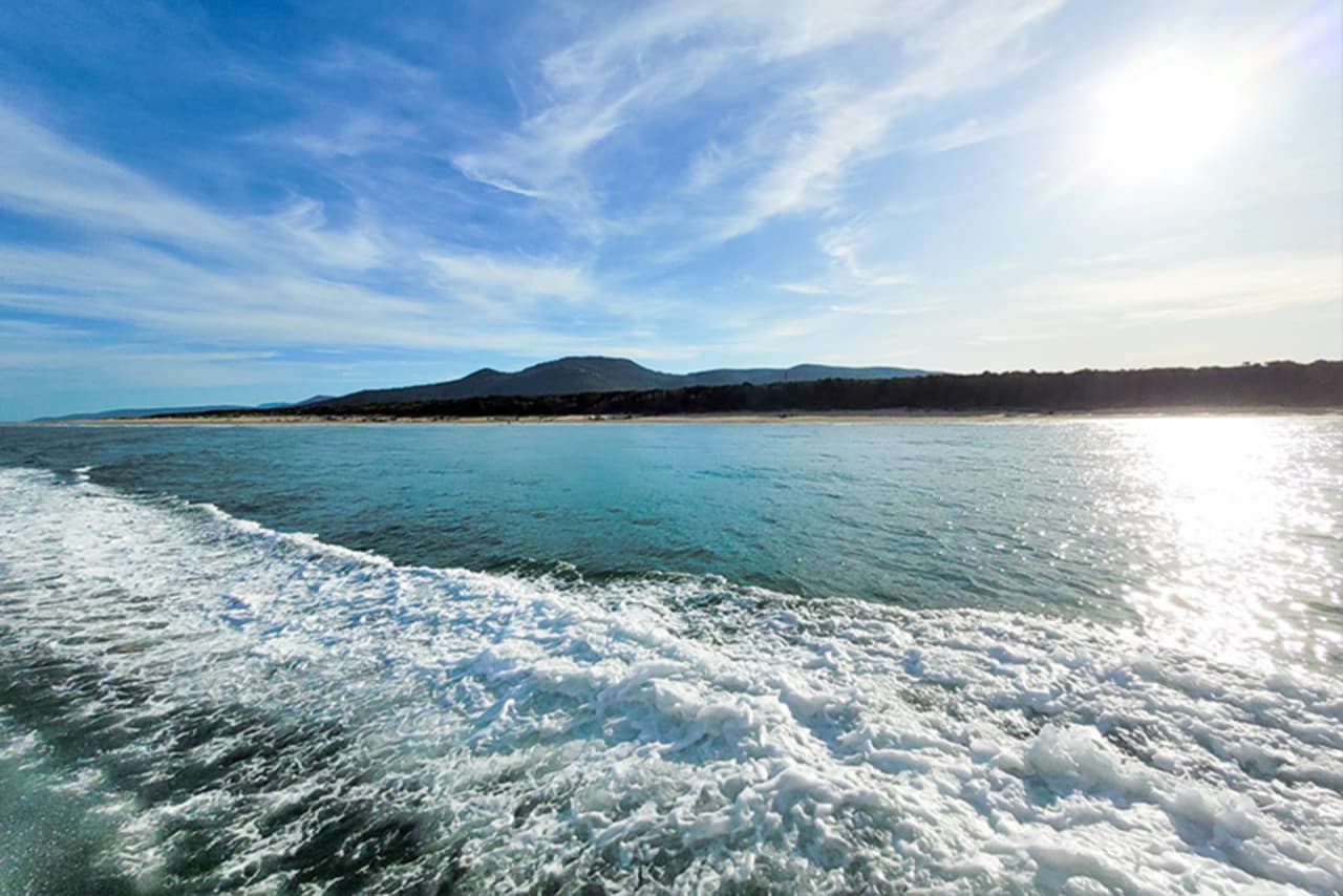 Wilsons Promontory Whale Watching Sightseeing Cruise - image 5