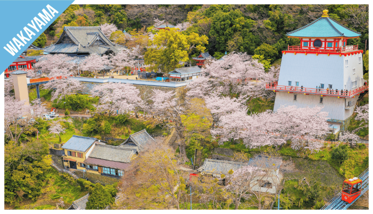 Have Fun in Wakayama Pass - 1 Week Free Pass - image 9