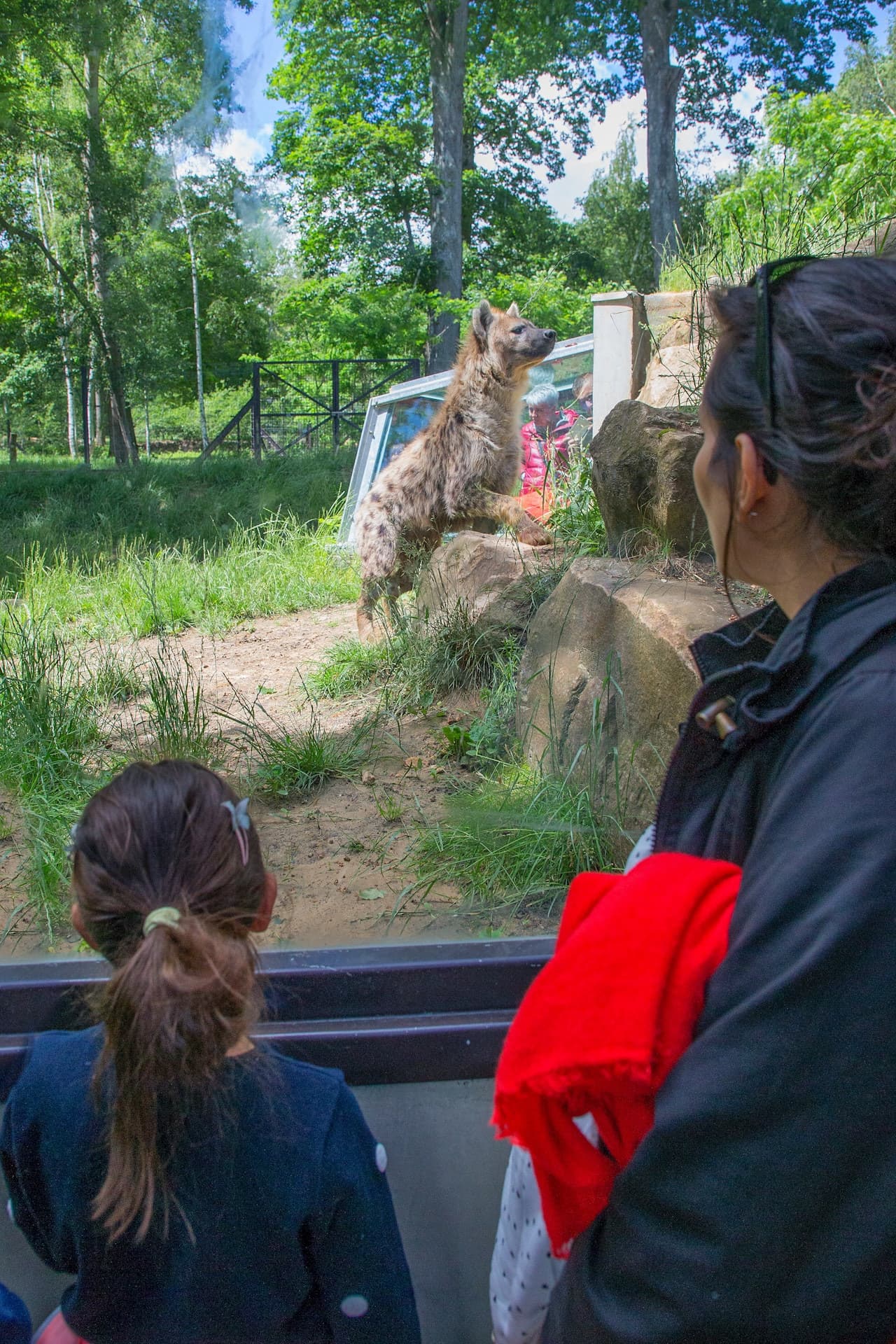 Thoiry ZooSafari: Sin filas - imagen 13