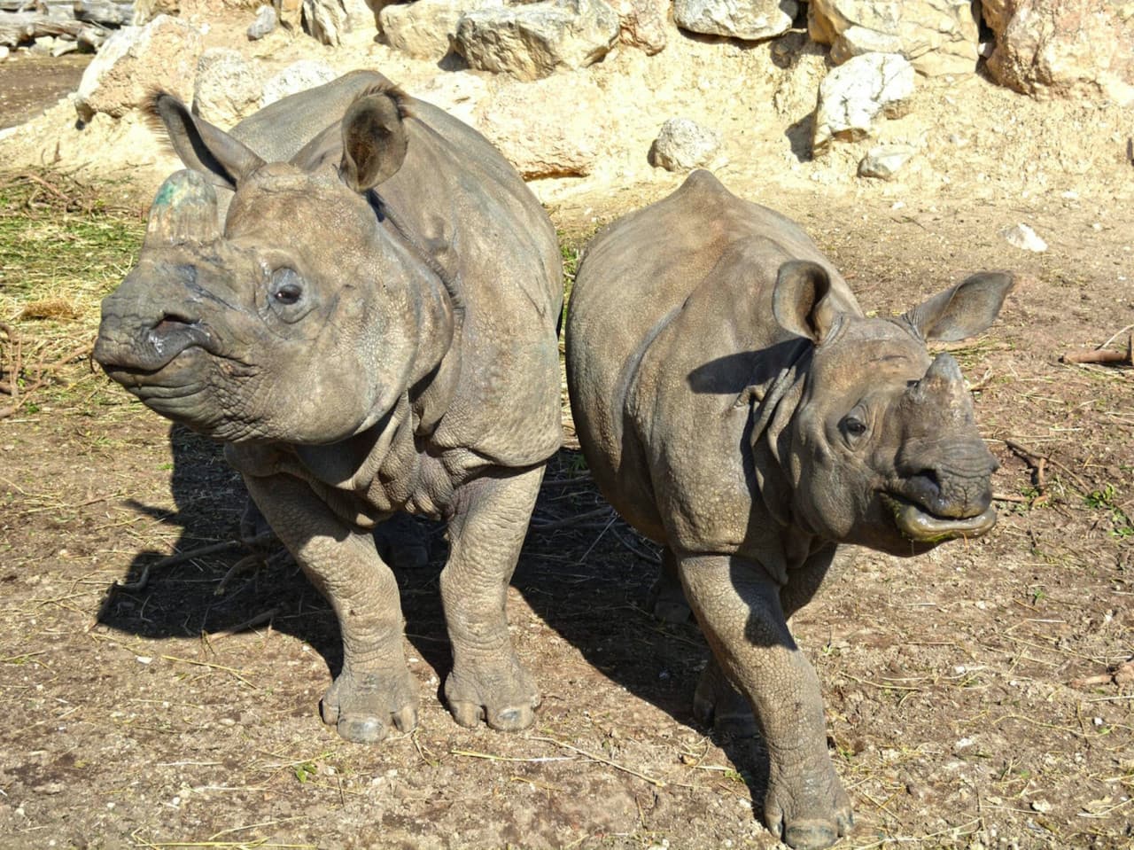 Terra Natura Benidorm: entrada - imagen 3