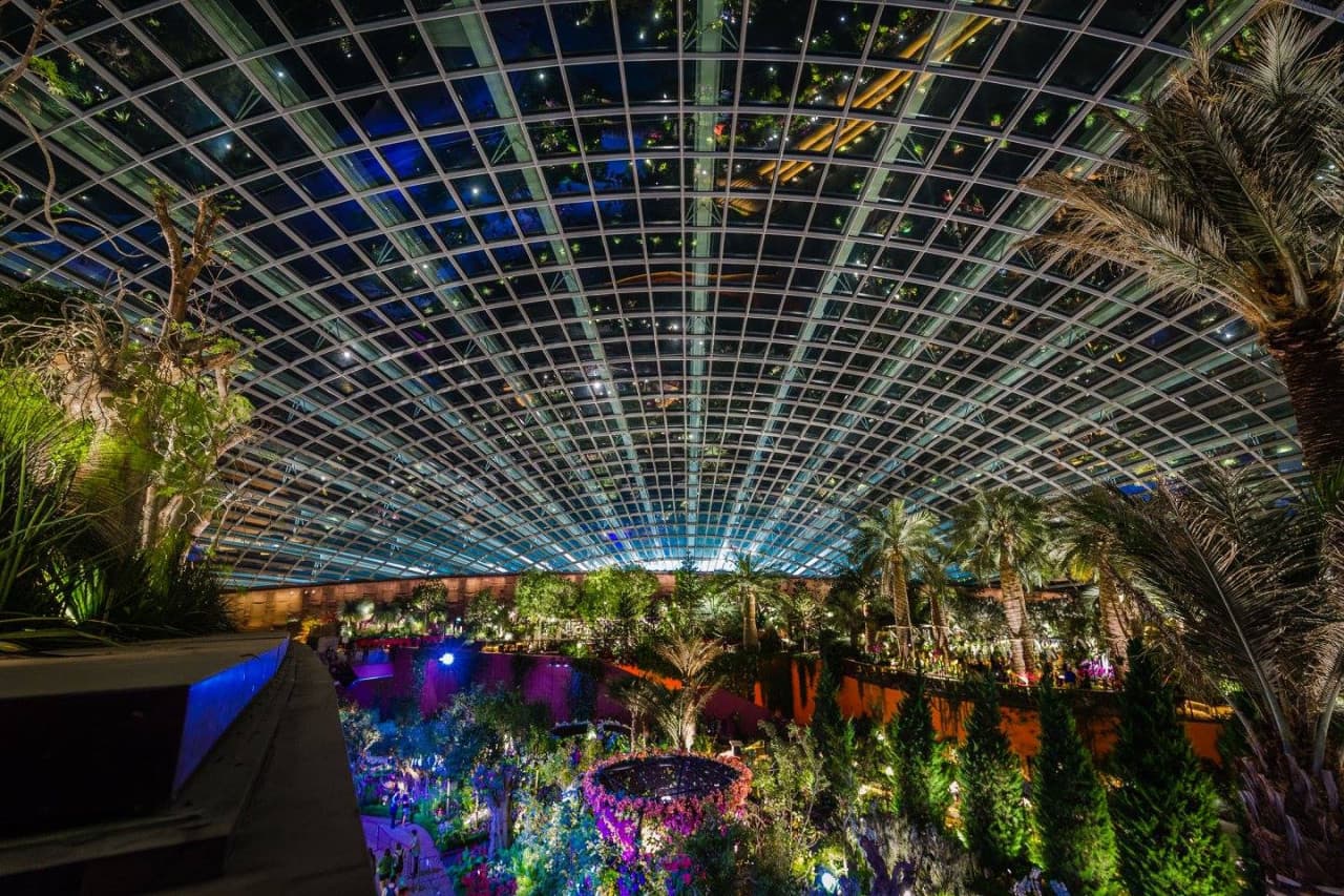 COMBO: Adventure Cove Waterpark + Gardens by the Bay Ticket - image 9