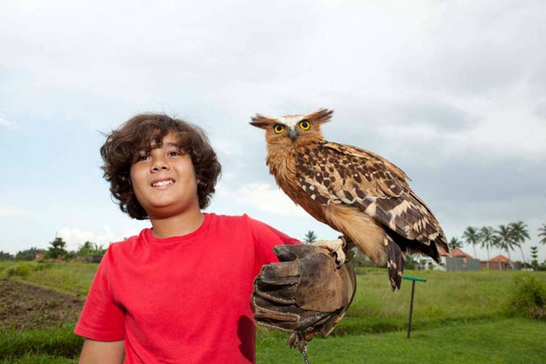 Bali Bird Park Ticket - image 11