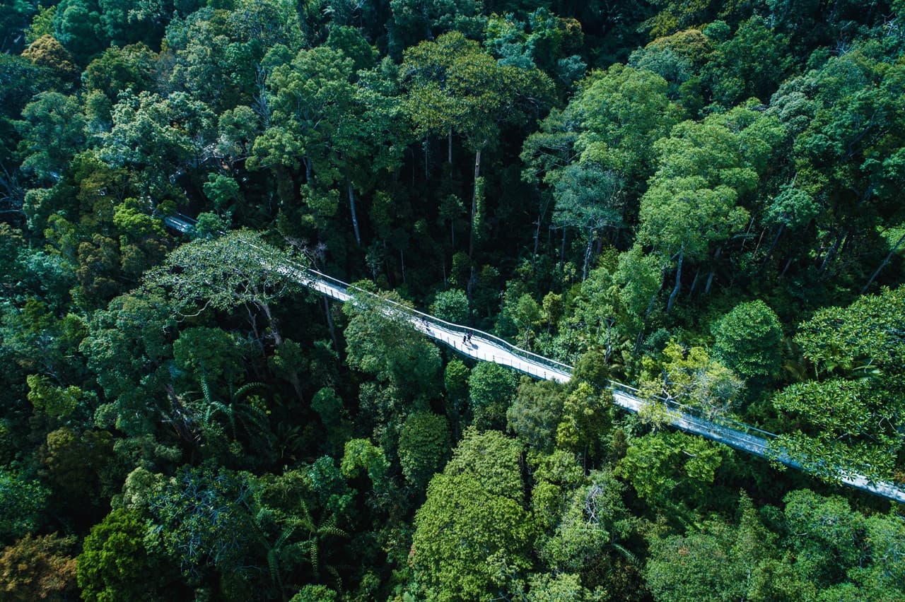 The Habitat Penang Hill Ticket - image 10