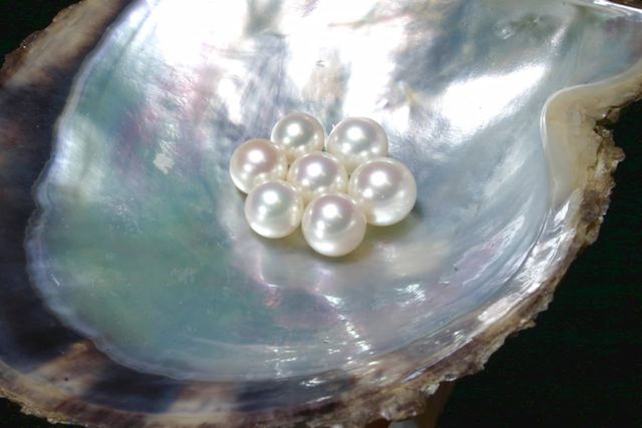 Mikimoto Pearl Island Ticket - image 5