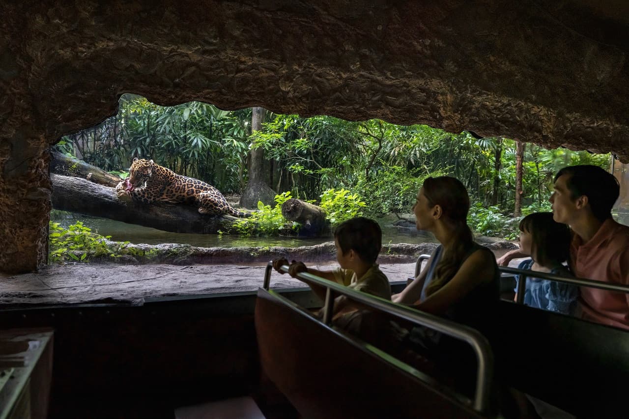5-in-1 Day Pass: Night Safari + Singapore Zoo + Bird Paradise + River Wonders + Rainforest Adventure - image 2