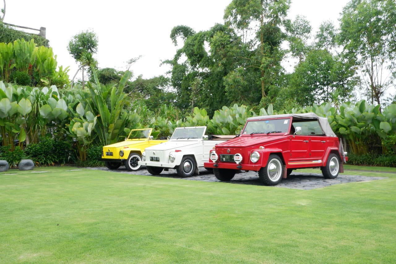 Kintamani Volkswagen Safari Tour - image 6