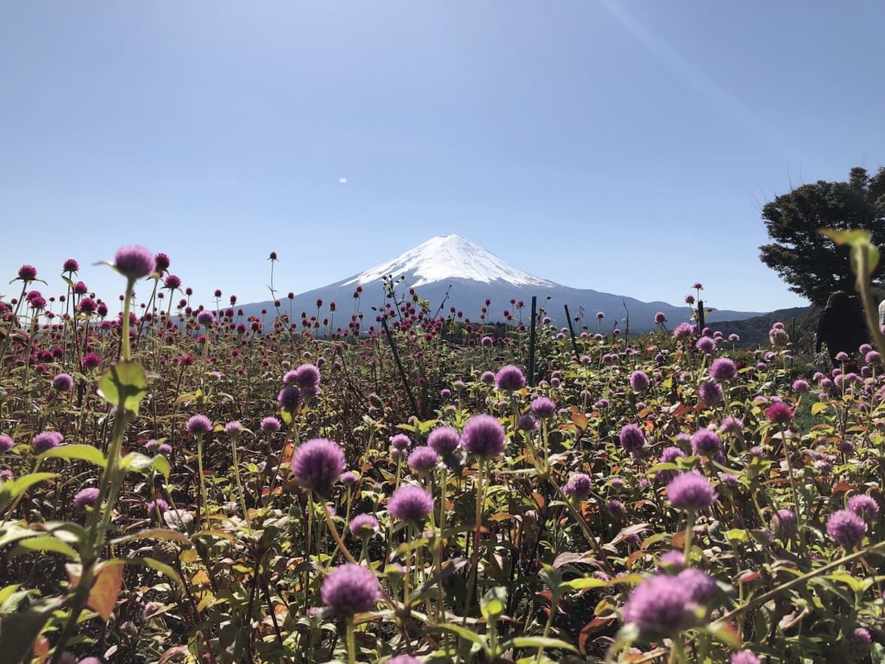 Mount Fuji Day Tour with Kawaguchiko Lake - image 7
