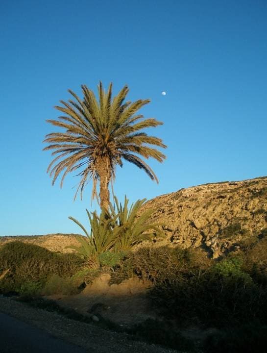 Quad Ride in Marrakech with Round Trip Transfers - image 3