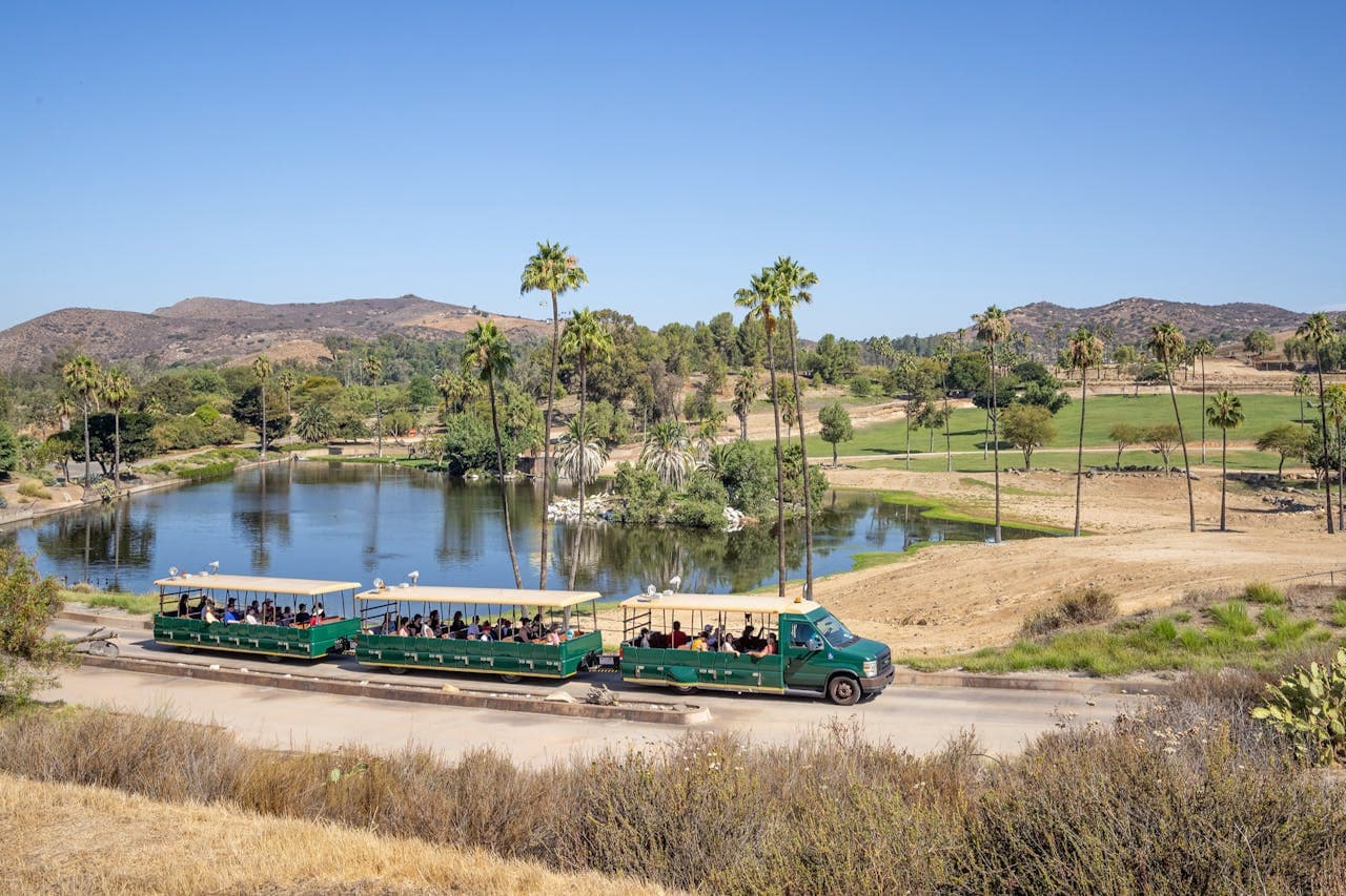 San Diego Zoo Safari Park Ticket - image 2