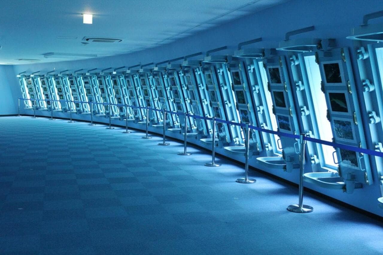 Parque submarino Miyakojima de Okinawa - imagen 3