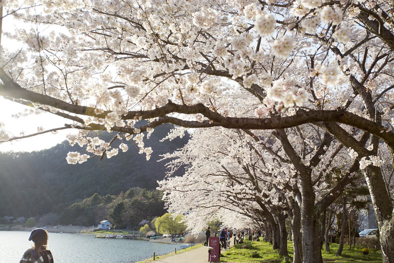 Mount Fuji Day Tour with Kawaguchiko Lake - image 4
