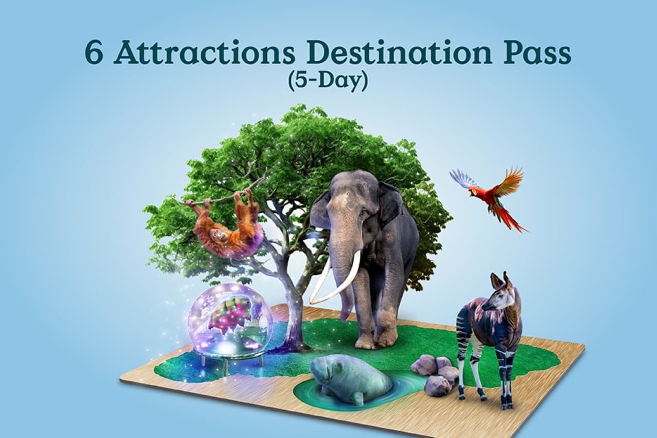 Mandai Destination Pass: Visit Up to 6 Attractions in 1 or 5 Days - image 2
