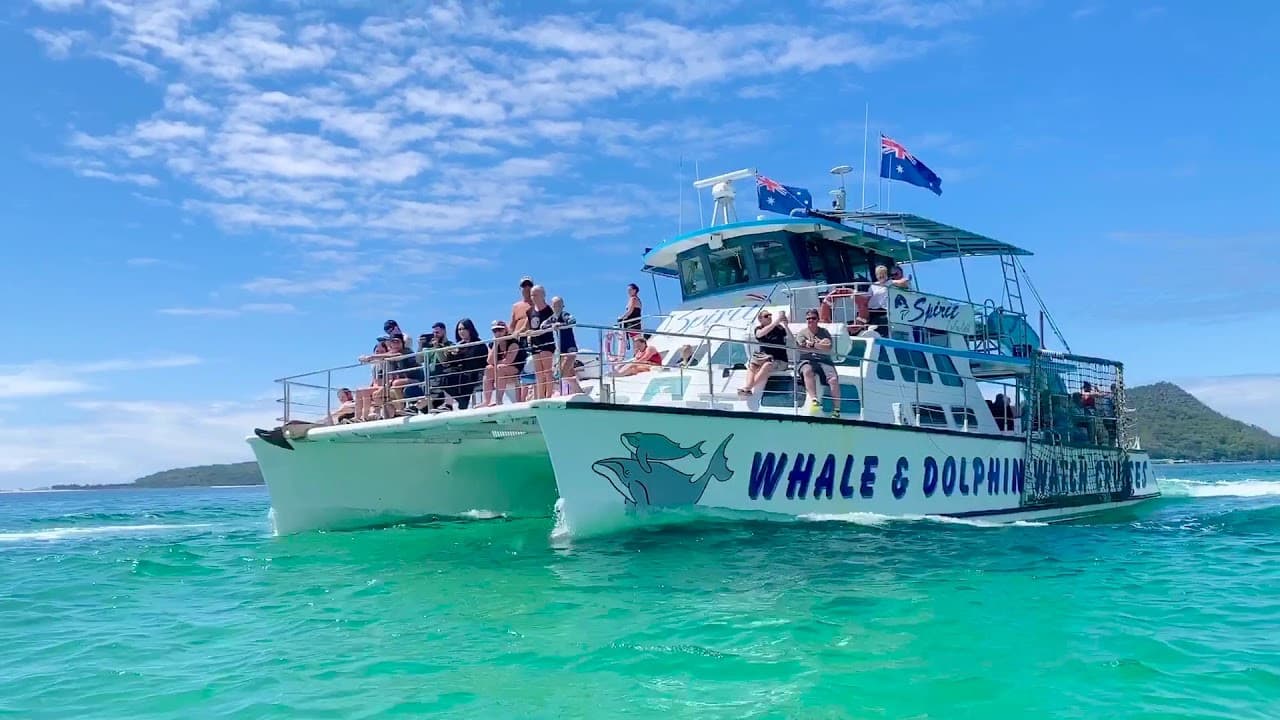 Port Stephens Dolphin Discovery Cruise - image 3