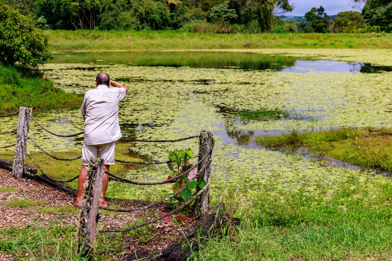 Australian Outback Food and Wine Tasting Tour from Cairns and Northern Beaches - image 8