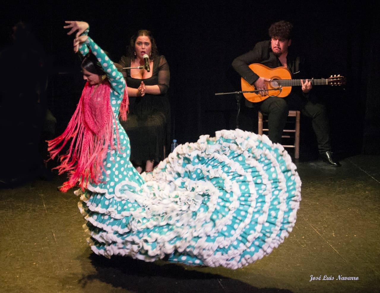 Flamenco Show at Triana Theater - main image