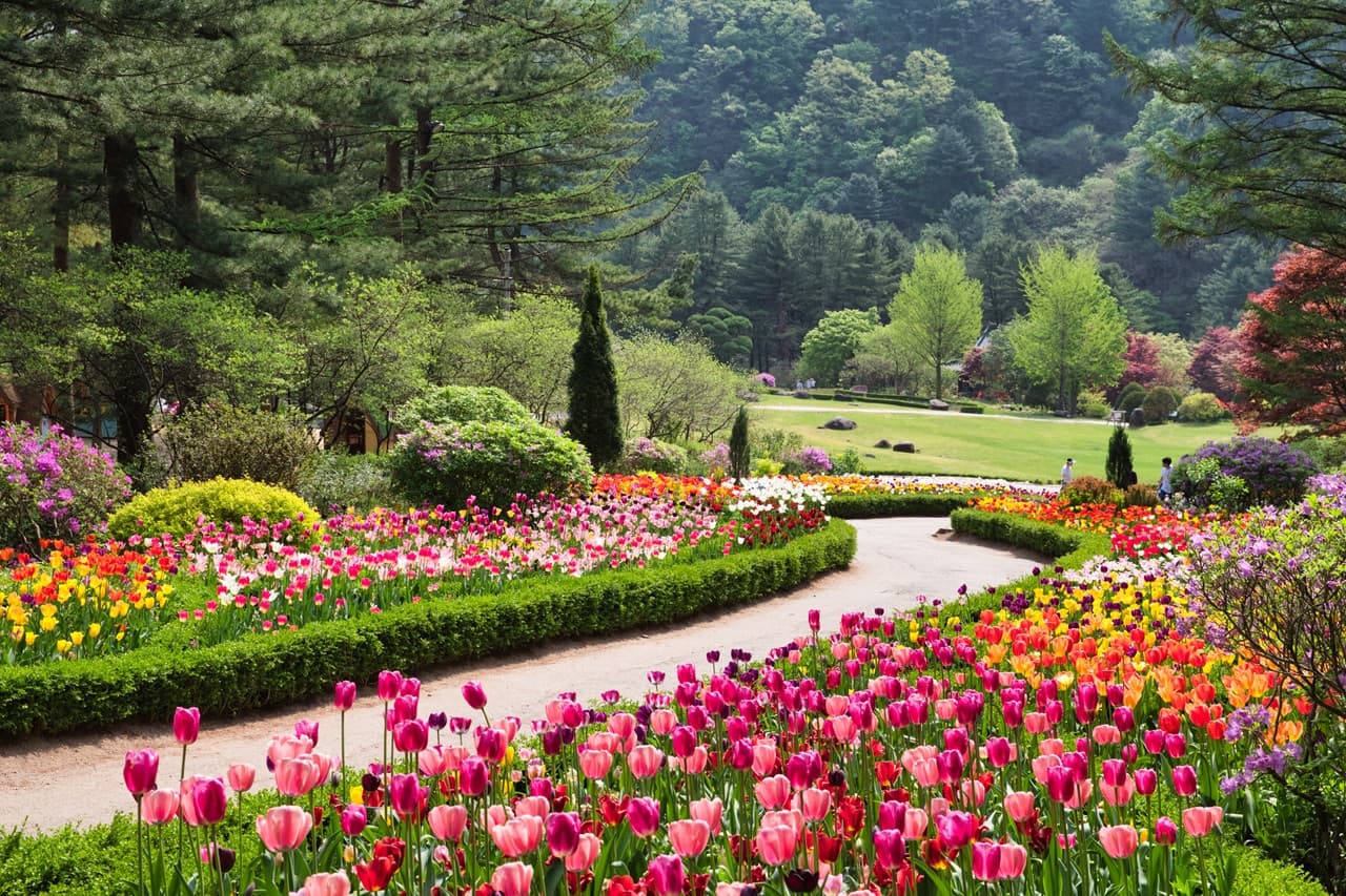 Nami Island, Mount Seorak, and Garden of Morning Calm Full-Day Tour from Seoul - image 30