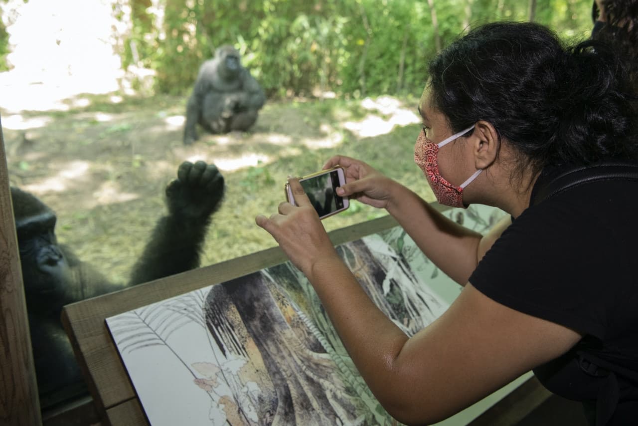 Bronx Zoo - image 3