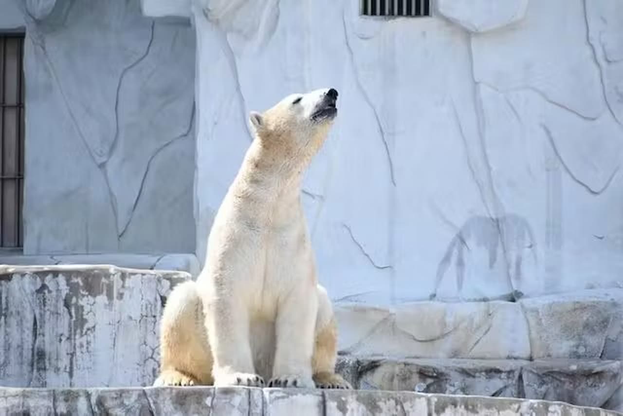 Zoológico y Jardines Botánicos Higashiyama de la ciudad de Nagoya - imagen principal