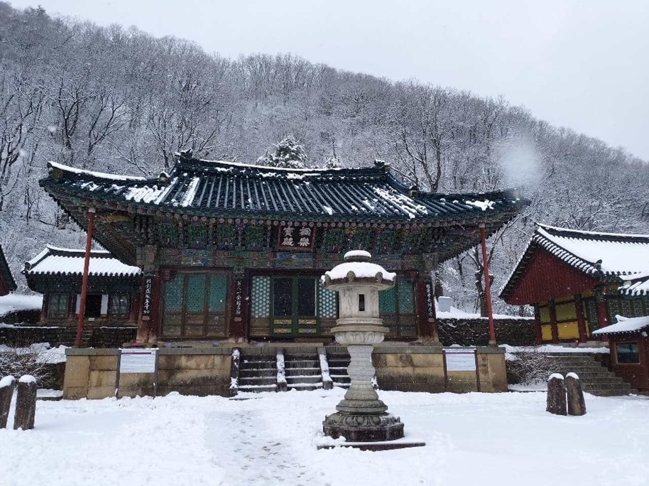 Nami Island and Mount Seorak Full-Day Tour from Seoul - 이미지 8