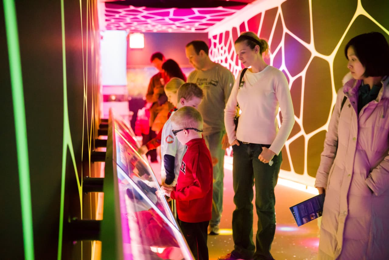 Go City Chicago Explorer Pass: Save up to 50% on Attractions - image 26