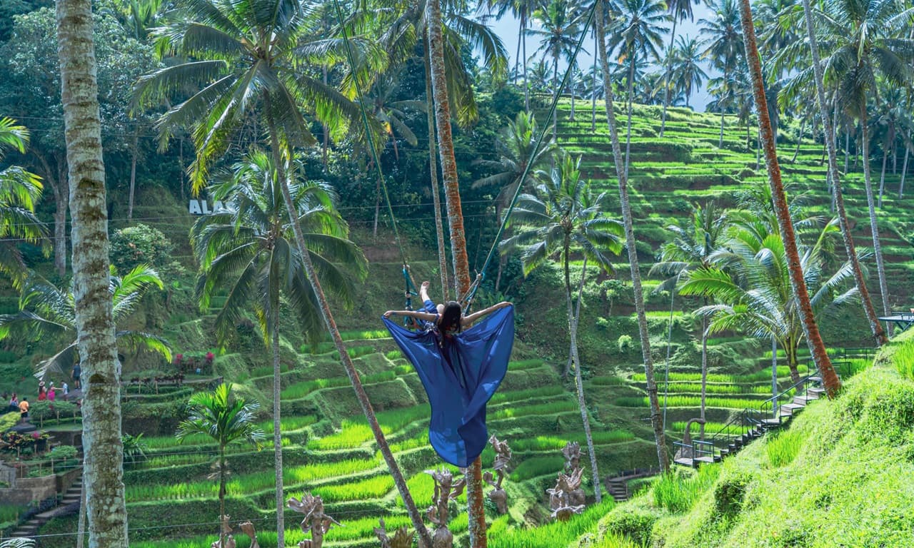 Alas Harum Bali: Swing, Skybike, and Zipline - image 2