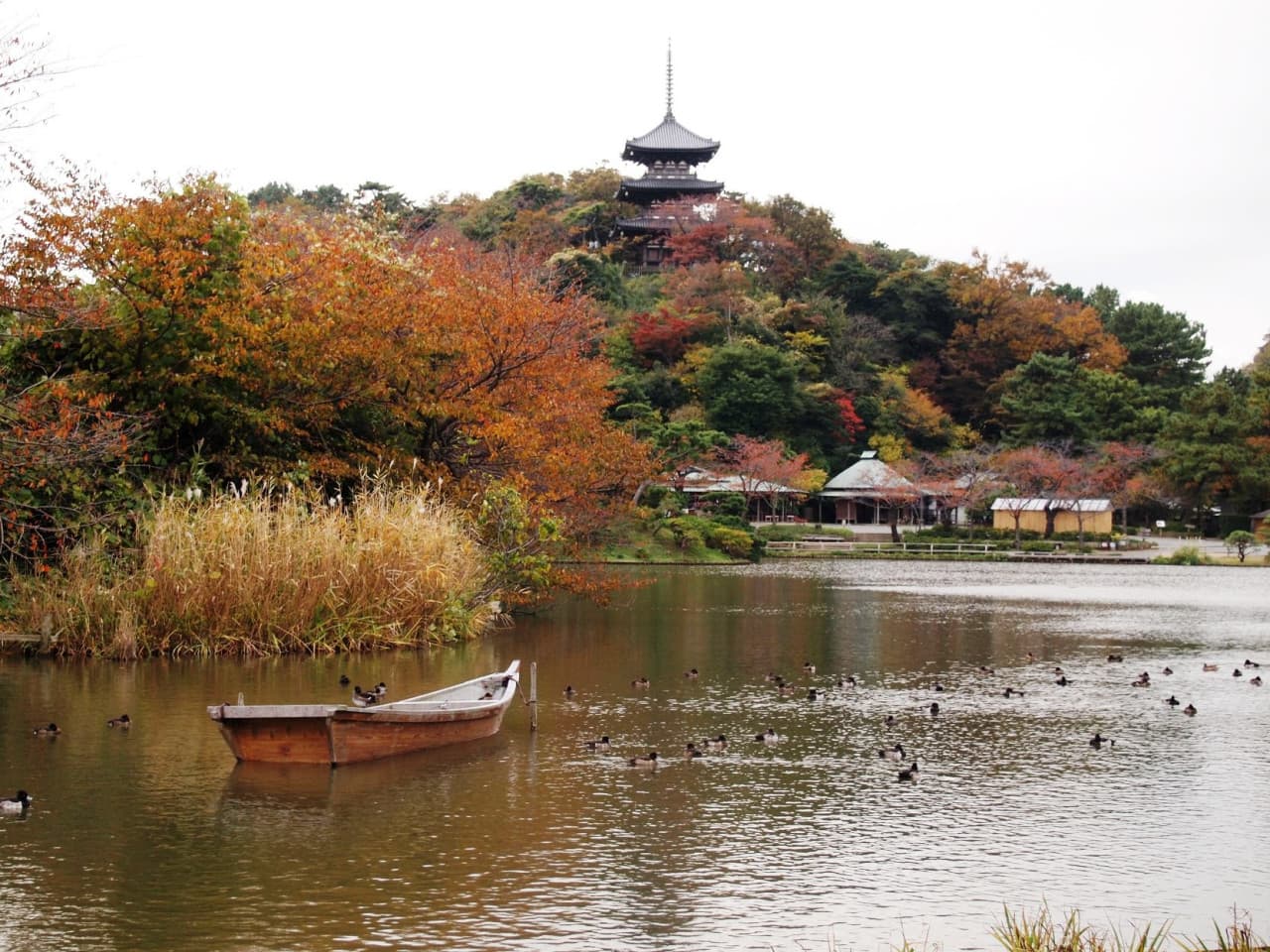 Sankeien Garden Ticket - image 6