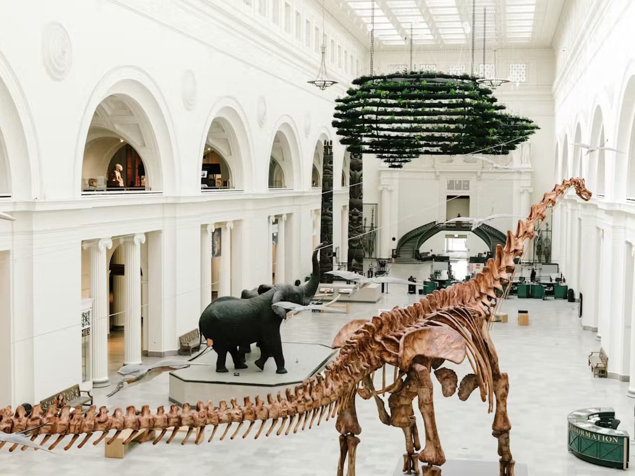 The Field Museum of Natural History Ticket - image 6